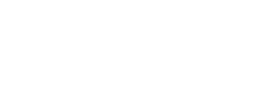 Lynk